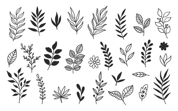 Hand drawn leaves botanical doodle floral vector element illustrations