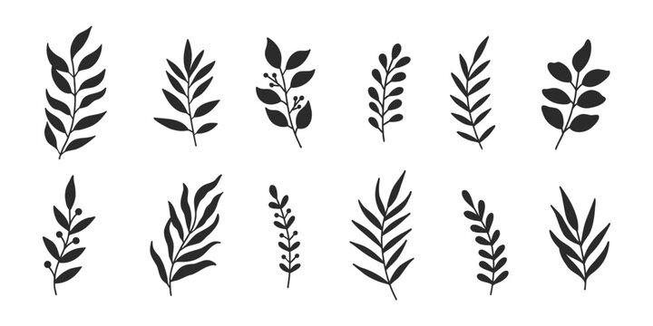Vector leaves botanical doodle floral element vintage vector illustrations