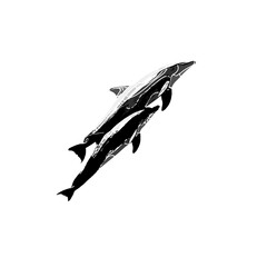 Fototapeta na wymiar Dolphin black and white drawing design with color border and transparent background