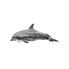 Dolphin black and white drawing design with color border and transparent background