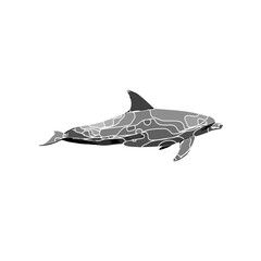 Dolphin black and white drawing design with color border and transparent background