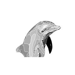 Dolphin black and white drawing design with color border and transparent background