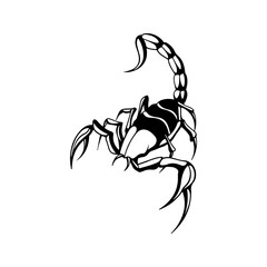 scorpion illustration vector with concept
