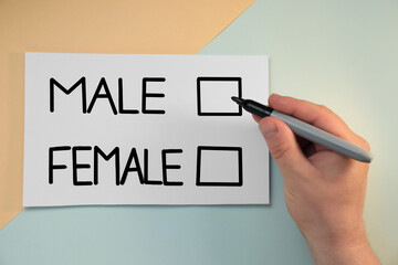 Man holding marker over sheet of paper with words Male and Female on color background, top view
