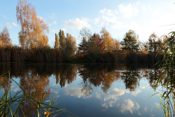 Fototapeta na wymiar Picturesque view of lake and trees on autumn day