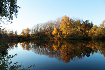 Picturesque view of lake and trees on autumn day