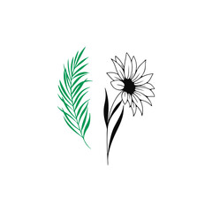 vector illustration of sunflowers and leaves