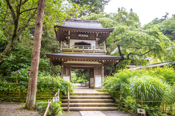 神奈川県鎌倉市　浄智寺の風景
