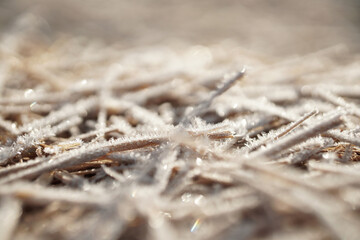 straw covered with hoarfrost. frost, water crystallization. winter background with beautiful highlights and blur.