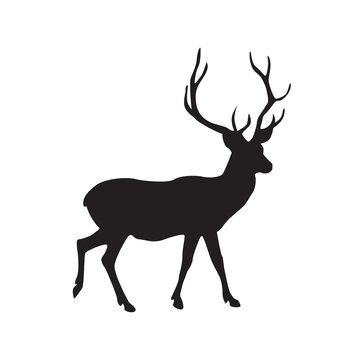 Deer silhouette. Great antler or deer with horns vector isolated on white.