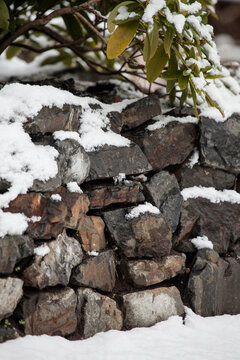 Garten im Winter