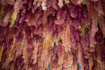 texture of pink flowers