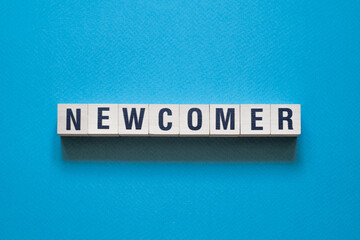 Newcomer - word concept on cubes