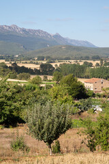 Fototapeta na wymiar Countryside outside Genevilla, Navarra, Spain