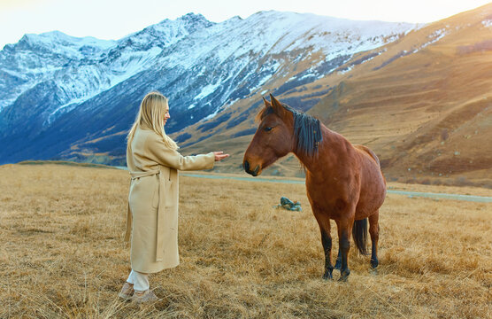 girl with horses in the autumn mountains