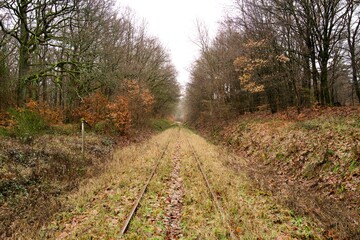 old overgrown train tracks 