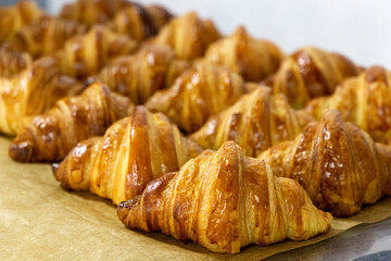 Many rows of freshly baked traditional crispy croissants 