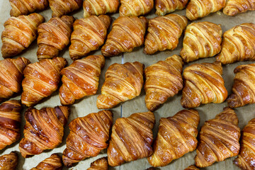 Top view of freshly baked crispy croissants rows on the baking paper
