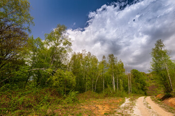Fototapeta premium Beautiful country road in spring in remote rural area in Eastern Europe and storm April sky
