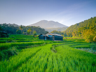 Mount Ciremai, one of the mountains in West Java. This highest mountain in West Java has a very beautiful natural beauty, one of which is in Bantaragung Village and Sindangpano Village. 