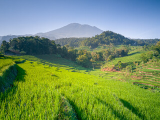 Mount Ciremai, one of the mountains in West Java. This highest mountain in West Java has a very beautiful natural beauty, one of which is in Bantaragung Village and Sindangpano Village. 