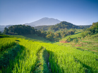 Mount Ciremai, one of the mountains in West Java. This highest mountain in West Java has a very beautiful natural beauty, one of which is in Bantaragung Village and Sindangpano Village. 