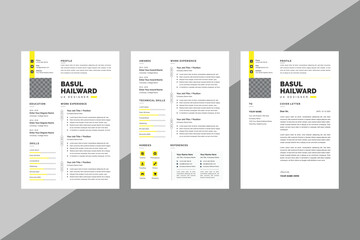 Professional Resume Template