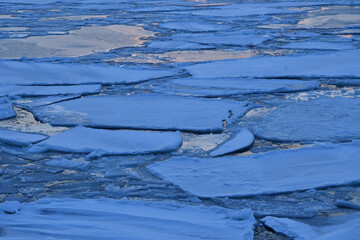 Sunset cruising on Floating ices 