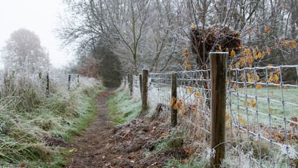 ścieżka w zimie przy lesie, ogrodzenie w zimie