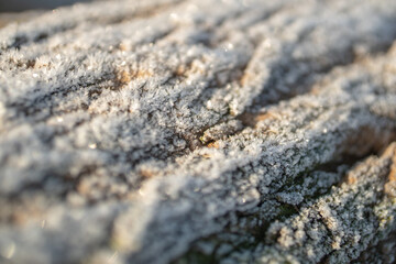 bark covered with frost. beautiful water freezing, crystallization. beautiful winter background.