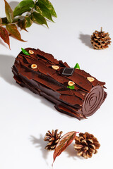 Swiss chocolate roll with hazelnuts on white with green branch and cones