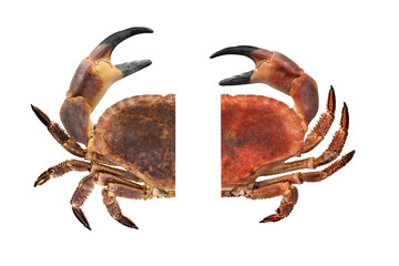Two 2 big crabs, raw and boiled isolated on white background. Top view.