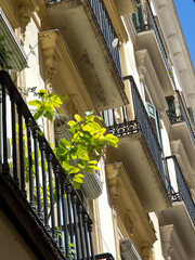 Malaga in Spanien