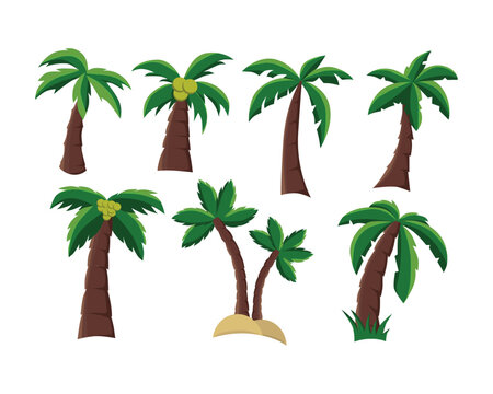 Vector graphics of palm tree set on white background