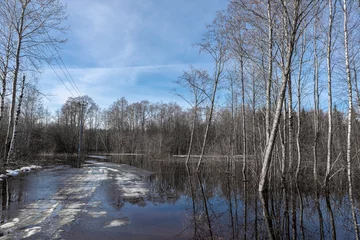 Foto auf Leinwand Overflowing river flooded rural road © Vitaly