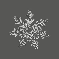 WiNTER COLLECTION NICE  ILLUSTRATIONS