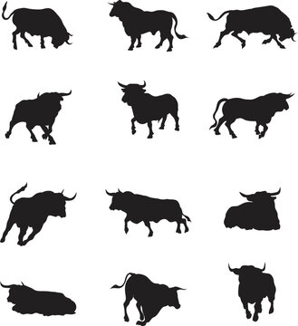 A vector collection of bulls for artwork compositions