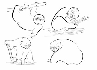 set loris funny outline vector element