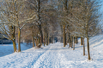 Bäume im Winter bei Dingolfing