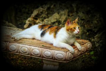 Curacao, Dutch Antilles