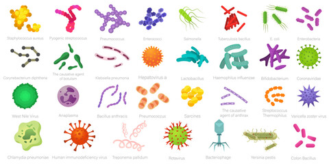 Vector image of various bacteria. Pathogenic bacteria, viruses and microbes. Colored microbes and various types of bacteria. A design element for a website, applications, social networks.
