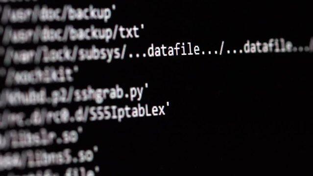 Code. Server logs on a monitor scroll by showing information related to scanning and network activity. File check and security. Concept background for video about technology and digital transformation