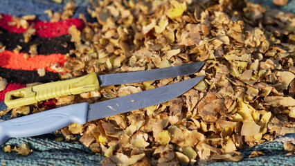 Ginger or adrak known as (Zingiber officinale). Ginger roots peeled with knife over chopping block. Top view