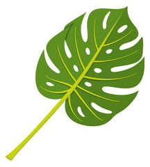 Monstera leaf. Green exotic plant foliage icon