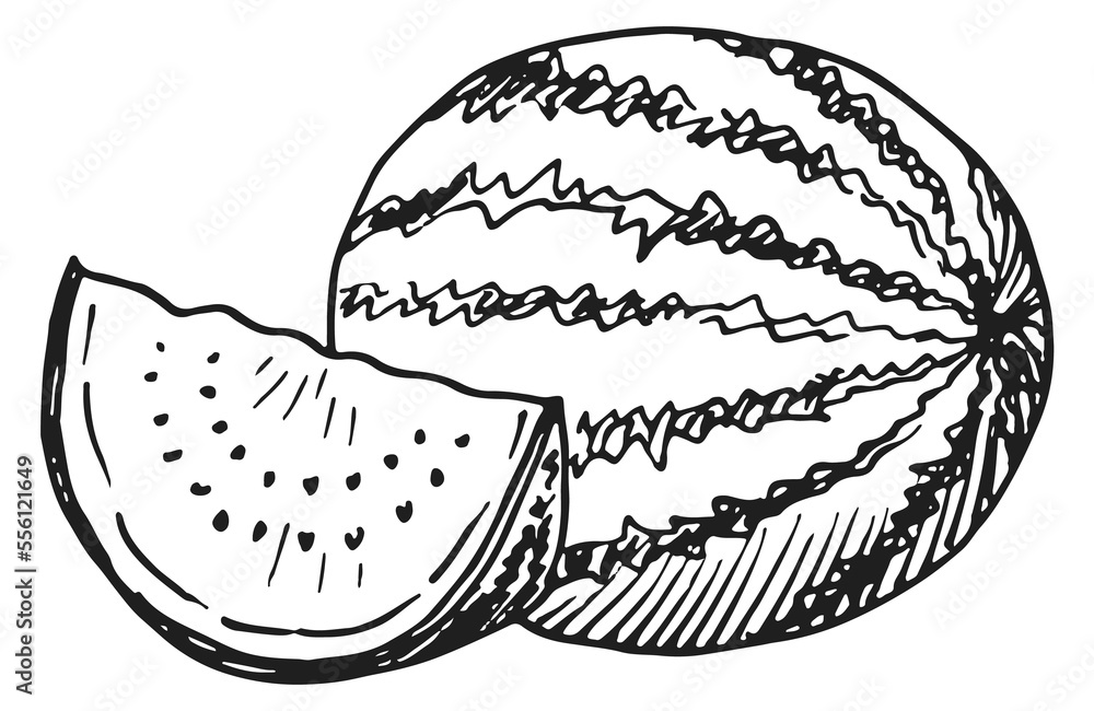 Sticker Watermelon sketch. Whole and slice. Summer sweet engraving