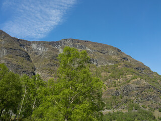 Frühling in  flam