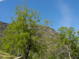 Flam in  Norwegen