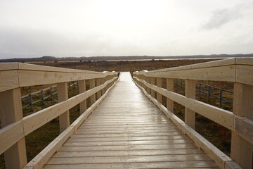 Obraz premium Wooden Path at Gensei Flower Garden in Abashiri, Hokkaido - 北海道 網走国定公園 小清水 原生花園 遊歩道