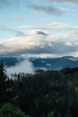 Coniferous Forest and Mountains Landscape Travel serene scenery