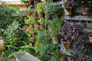 Garden Wall